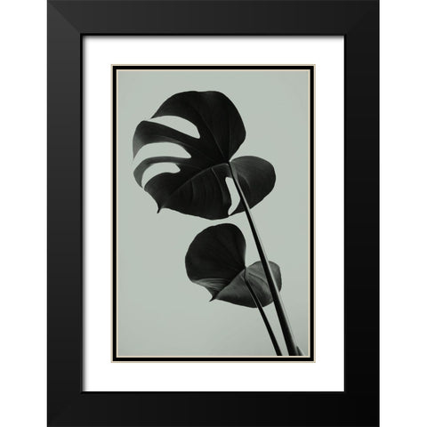 Monstera Teal 01 Black Modern Wood Framed Art Print with Double Matting by Artographie Studio
