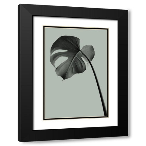 Monstera Teal 02 Black Modern Wood Framed Art Print with Double Matting by Artographie Studio