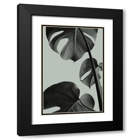 Monstera Teal 03 Black Modern Wood Framed Art Print with Double Matting by Artographie Studio