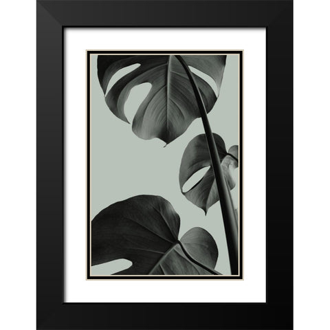 Monstera Teal 03 Black Modern Wood Framed Art Print with Double Matting by Artographie Studio