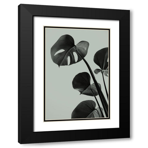 Monstera Teal 04 Black Modern Wood Framed Art Print with Double Matting by Artographie Studio
