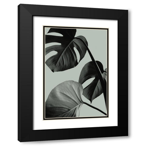 Monstera Teal 07 Black Modern Wood Framed Art Print with Double Matting by Artographie Studio