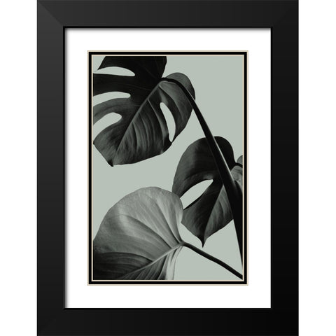 Monstera Teal 07 Black Modern Wood Framed Art Print with Double Matting by Artographie Studio