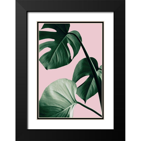 Monstera Pink No 07 Black Modern Wood Framed Art Print with Double Matting by Artographie Studio