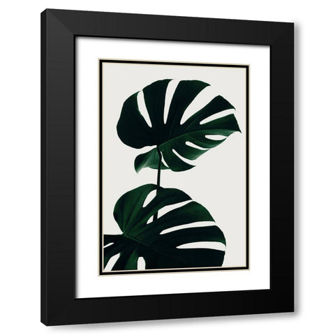 Monstera Natural 09 Black Modern Wood Framed Art Print with Double Matting by Artographie Studio