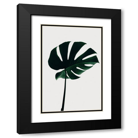 Monstera Natural 10 Black Modern Wood Framed Art Print with Double Matting by Artographie Studio