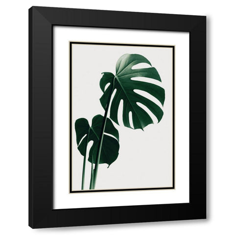 Monstera Natural 16 Black Modern Wood Framed Art Print with Double Matting by Artographie Studio