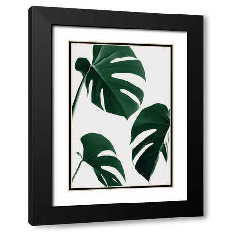 Monstera Nautral 39 Black Modern Wood Framed Art Print with Double Matting by Artographie Studio