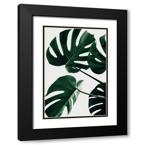 Monstera Natural 43 Black Modern Wood Framed Art Print with Double Matting by Artographie Studio
