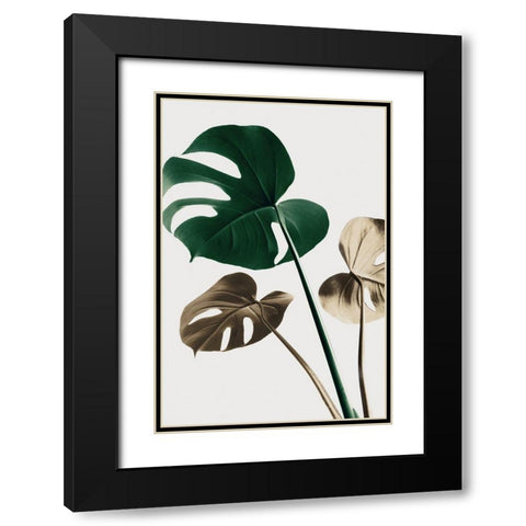 Monstera Mix 04 Black Modern Wood Framed Art Print with Double Matting by Artographie Studio