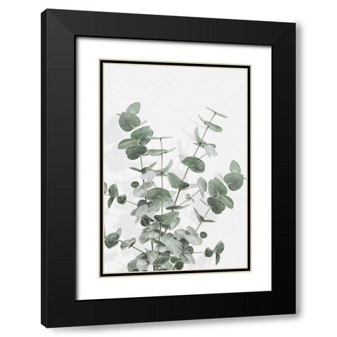 Eucalyptus Creative 16 Black Modern Wood Framed Art Print with Double Matting by Artographie Studio