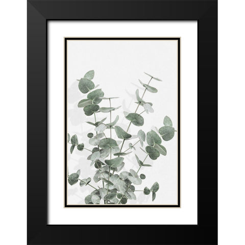 Eucalyptus Creative 16 Black Modern Wood Framed Art Print with Double Matting by Artographie Studio