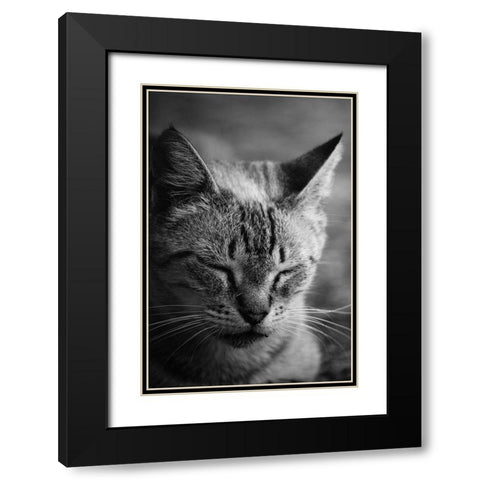 Close to the sunlight Black Modern Wood Framed Art Print with Double Matting by Cambero Munoz, Jesus