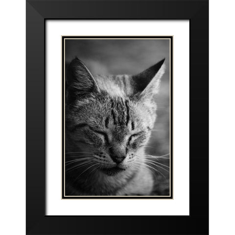 Close to the sunlight Black Modern Wood Framed Art Print with Double Matting by Cambero Munoz, Jesus