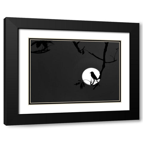 Nightingale of my Dreams Black Modern Wood Framed Art Print with Double Matting by Maiti, Asamanj