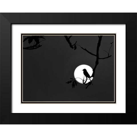 Nightingale of my Dreams Black Modern Wood Framed Art Print with Double Matting by Maiti, Asamanj