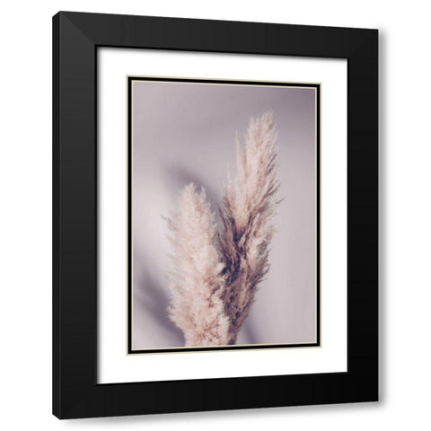 Pampas Grass Black Modern Wood Framed Art Print with Double Matting by Artographie Studio