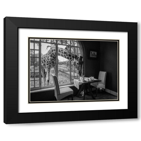 Breakfast time Black Modern Wood Framed Art Print with Double Matting by Fischer, Jie