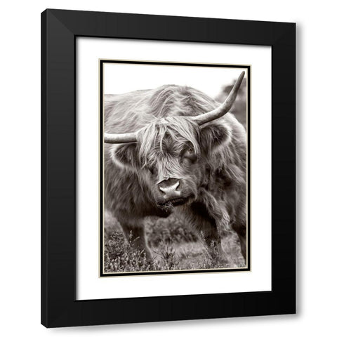The Bull Black Modern Wood Framed Art Print with Double Matting by Parker, Jacky