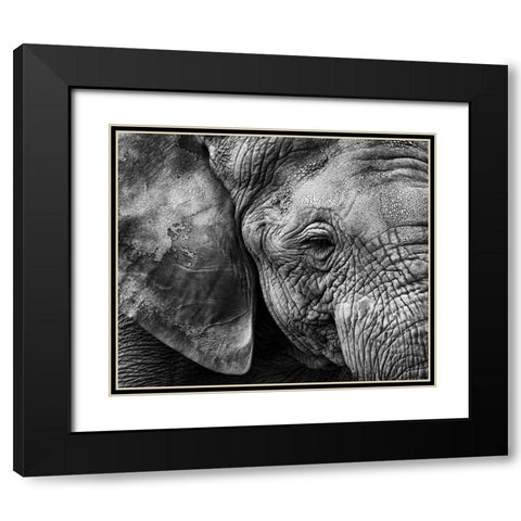 Elephant skin Black Modern Wood Framed Art Print with Double Matting by Garcia, Helena