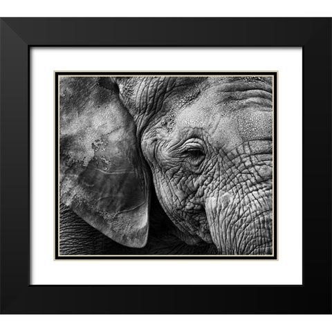 Elephant skin Black Modern Wood Framed Art Print with Double Matting by Garcia, Helena