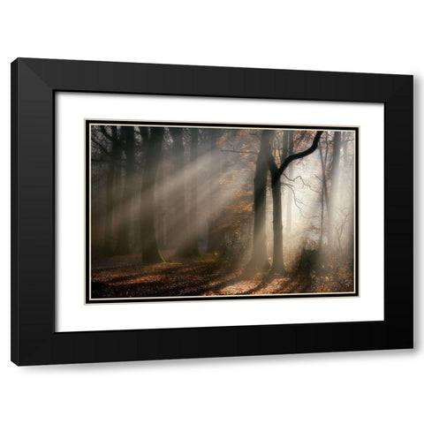 Morning Walk Black Modern Wood Framed Art Print with Double Matting by Lathouwers, Liliane