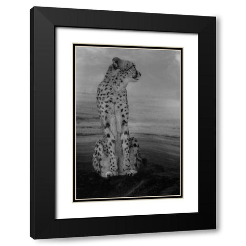 Cheetah on the Watch Black Modern Wood Framed Art Print with Double Matting by Wisniowska, Krystina