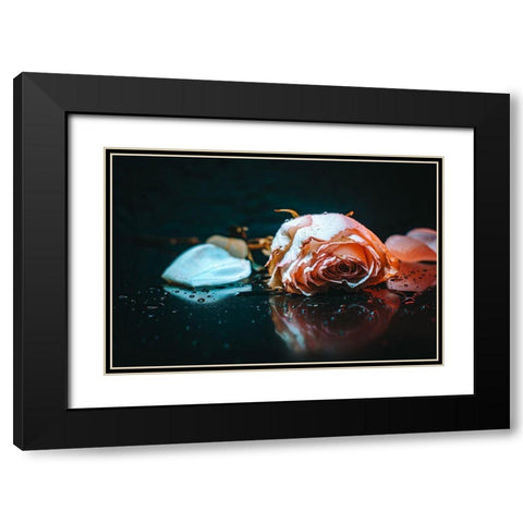 Sad Rose Black Modern Wood Framed Art Print with Double Matting by Alsharif, Yahia