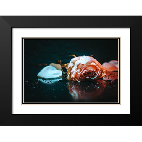 Sad Rose Black Modern Wood Framed Art Print with Double Matting by Alsharif, Yahia