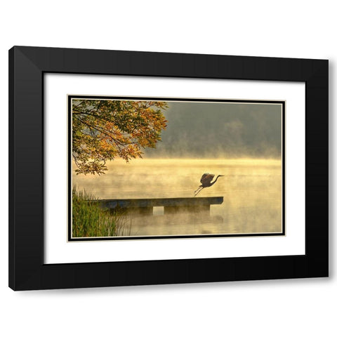 Morning flight Black Modern Wood Framed Art Print with Double Matting by Zhang, Eric