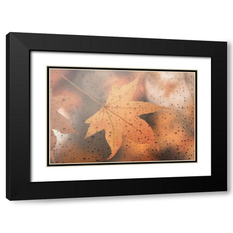 Melancholy Black Modern Wood Framed Art Print with Double Matting by Lenka