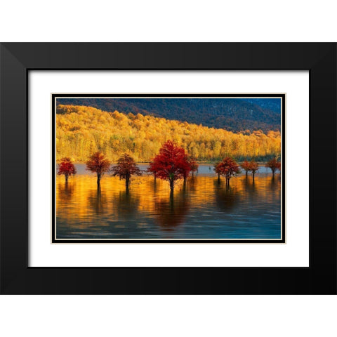 Golden Sunset Black Modern Wood Framed Art Print with Double Matting by Fallahzadeh, Ali