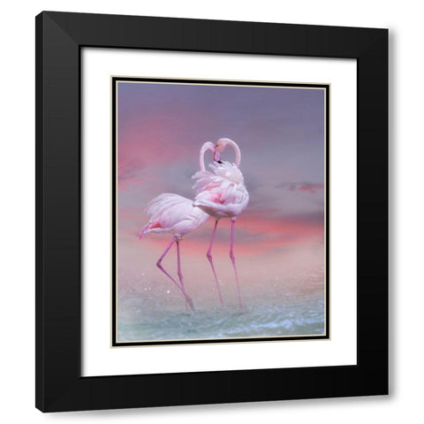 Flamingo Ballet Black Modern Wood Framed Art Print with Double Matting by Wisniowska, Krystina
