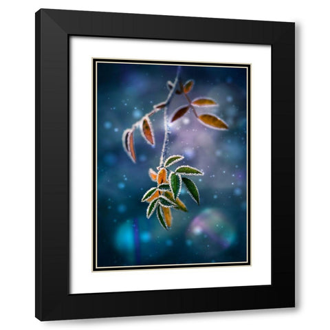 First Frost Black Modern Wood Framed Art Print with Double Matting by Georgieva V, Nikki
