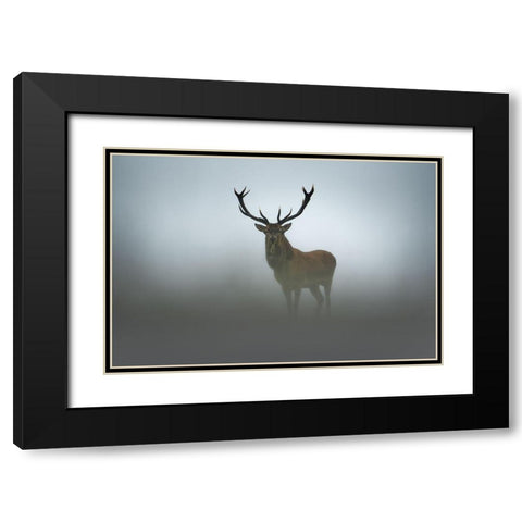 Ephemerality Black Modern Wood Framed Art Print with Double Matting by Rudchenko, Olga