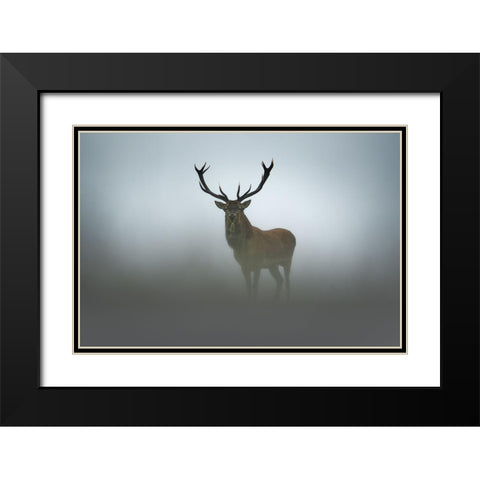 Ephemerality Black Modern Wood Framed Art Print with Double Matting by Rudchenko, Olga