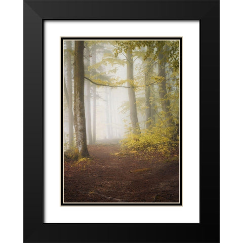 Lets Go for a Walk Black Modern Wood Framed Art Print with Double Matting by Maier, Norbert