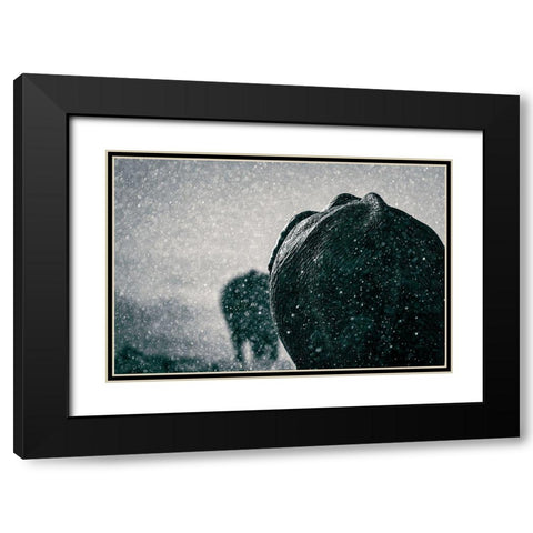 Rainy Season Black Modern Wood Framed Art Print with Double Matting by Taylor, Mike