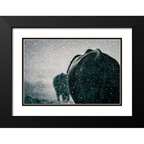 Rainy Season Black Modern Wood Framed Art Print with Double Matting by Taylor, Mike