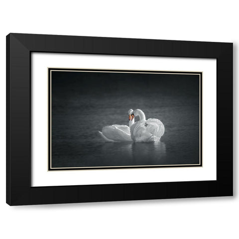 Public Display of Affection Black Modern Wood Framed Art Print with Double Matting by Hu, Mei