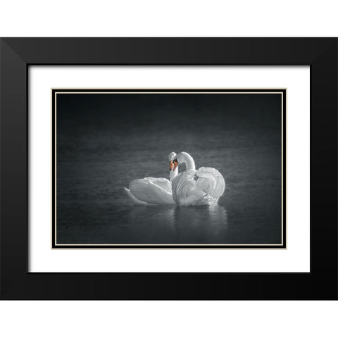 Public Display of Affection Black Modern Wood Framed Art Print with Double Matting by Hu, Mei