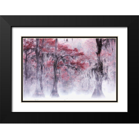 Foggy a Fall Foliage at Caddo Lake Black Modern Wood Framed Art Print with Double Matting by Leechee