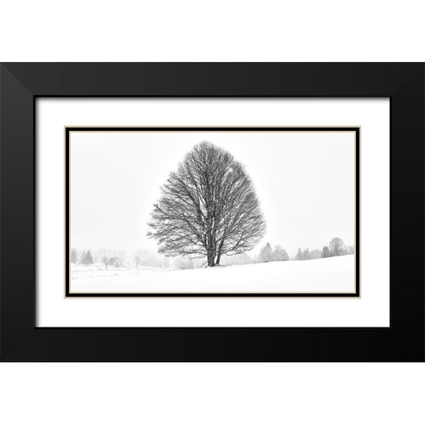 Lonely Tree II Black Modern Wood Framed Art Print with Double Matting by Froyda, Martin