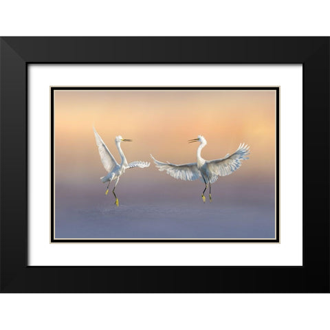 Happily Forever Black Modern Wood Framed Art Print with Double Matting by Zhao, Qing