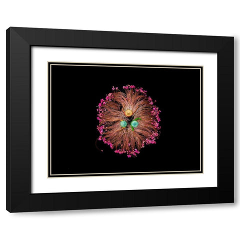 Colors of Life Black Modern Wood Framed Art Print with Double Matting by Adikary, Sujon