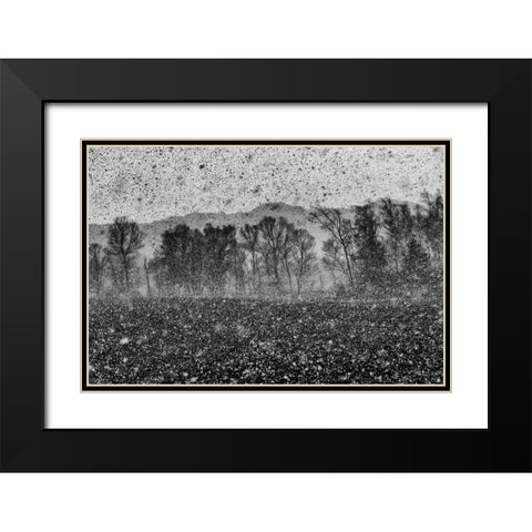 Snow Storm Black Modern Wood Framed Art Print with Double Matting by Klabus, Ales