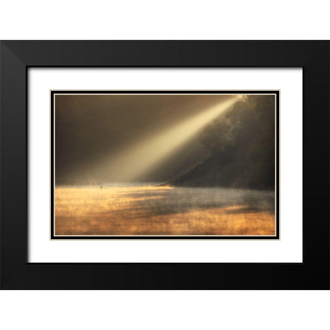 Lonely under the Dawn Black Modern Wood Framed Art Print with Double Matting by Tan Tuan, Nguyen