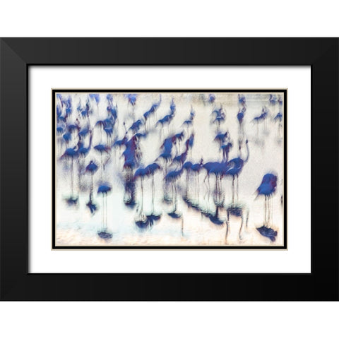 Sensory impressions Black Modern Wood Framed Art Print with Double Matting by Benezech, Martine