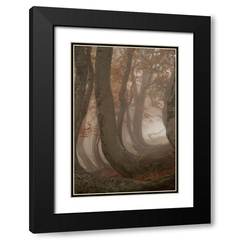 Twisted Beeches Black Modern Wood Framed Art Print with Double Matting by Marchegiani, Roberto