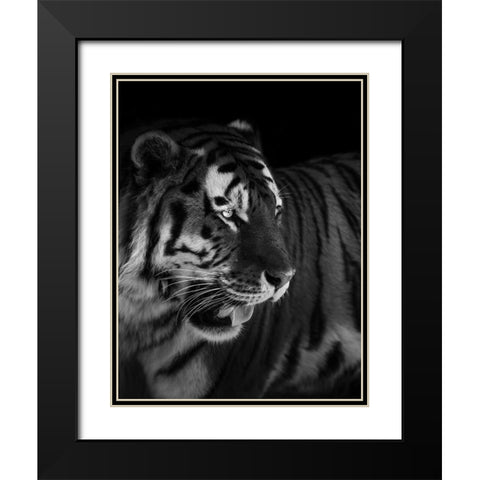 The King Black Modern Wood Framed Art Print with Double Matting by Zhao, Alex